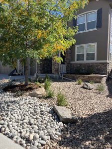 Xeriscape (10)