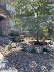Xeriscape (12)