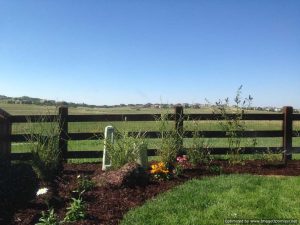 Xeriscape (14)