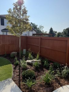 Xeriscape (2)