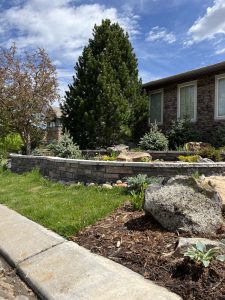 Xeriscape (3)_1