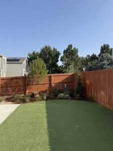 Xeriscape (4)