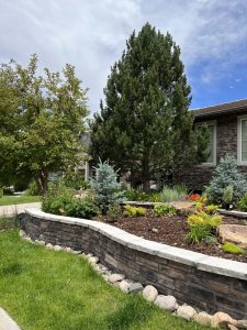 Xeriscape (4)_1
