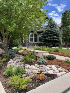 Xeriscape (5)