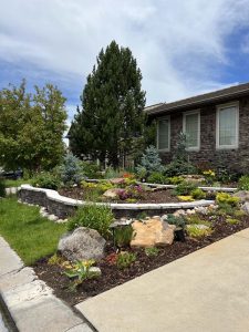 Xeriscape (7)