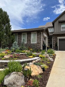 Xeriscape (8)